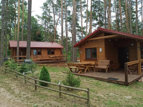 DWA DOMKI BORSK in Borsk